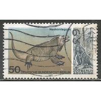 Западный Берлин. Игуана-носорог. 1977г. Mi#555.