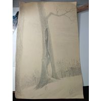 Графика Ивашков Ю.Ф.