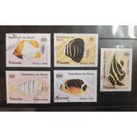 Бенин. 1996 год. Фауна. Рыбы (40)