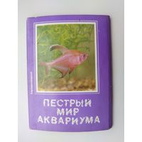Пёстрый мир аквариума. Выпуск 6. Набор открыток 1987 года ( 18 шт. ) Н-34.