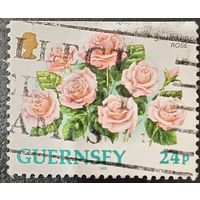 Гернси 1993. Флора. Розы