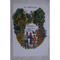 Календарик, 1985. Лес -- наше богатство.