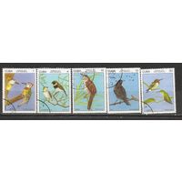 ФФ2 Куба 1977 Птицы гаш