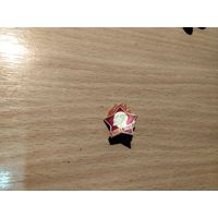 Значки с 0.50 коп.