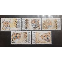 Камбоджа. Фауна. Дикие кошки (701)