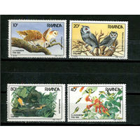 Руанда - 1985 - Птицы - [Mi. 1310-1313] - полная серия - 4 марки. MNH.  (Лот 44JJ)-TG2P37