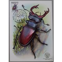 Картмаксимум "Жук-олень". Дикая природа Беларуси.