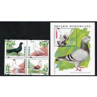 Польша 1994. Фауна. Птицы голуби Блок+4 марки. Mi 3511-15. Блок 126