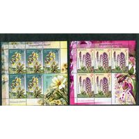 Беларусь 2011. Флора. Охраняемые растения. Два малых листа