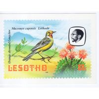 Открытка Лесото 1982г. Фауна.Птицы.Капский конек.
