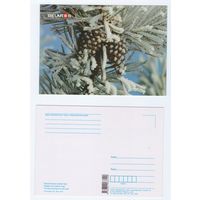 Беларусь. 2019. Планета Беларусь