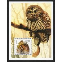 Совы Гвинея 2002 год 1 блок