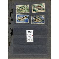 КОНГО,  1961,   РЫБЫ,  серия  4м, гашен