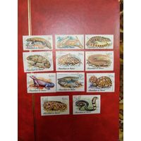 1977 Гвинея фауна (5-6)