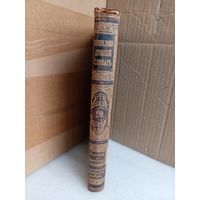 Энциклопедический словарь Т.20 1893г.