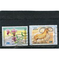 Тунис. Фауна. Цветы и гривистый баран