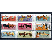 Умм-эль-Кайвайн - 1969г. - Лошади - полная серия, MNH [Mi 314 А - 322 А] - 9 марок