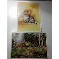 Открытки Животные  , с рубля .