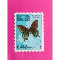 Куба. Бабочка. ( 1 марка ) 1993 года. 5-1.