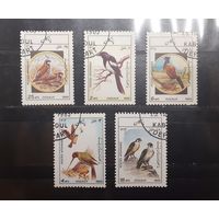 Афганистан. 1985 год. Фауна. Птицы (373)