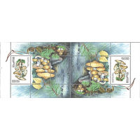 2 почтовых блока "Опенок осенний. Блок N15"