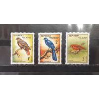 Мадагаскар. Фауна. Птицы (1251)