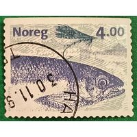 Норвегия 1999. Лосось