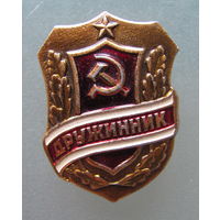 Значок дружинник