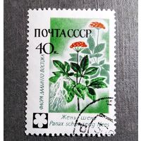 Марка СССР 1960 год Флора СССР