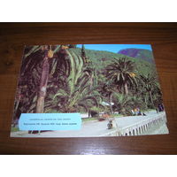 Абхазия Гагра 1989 год чистая