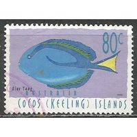Кокосовые острова. Рыба Голубой херург. 1995г. Mi#347.