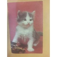 Календарь 1990 кошки/2