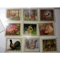 Набор открыток .  Природа Беларуси .