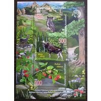 2020 Западно-Алтайский природный заповедник - Казахстан