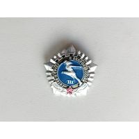 ГТО 3 степень. Н-2.