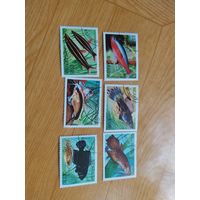 Никарагуа марки 1981 г. Рыбы