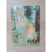Календарик 1993