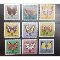 Польша. Фауна. Бабочки (1503)