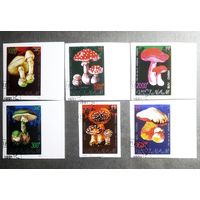 Марки Вьетнам 1991 год Грибы