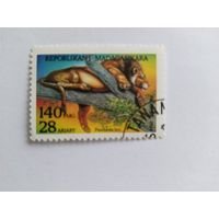 Мадагаскар 1994 лев