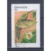 [385] Гренада 1989. Фауна.Птицы.Колибри. Гашеная марка.