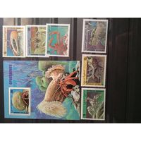 Сахара 1999г. Крабы.