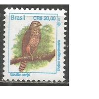 Бразилия. Птица следопыт. 1994г. Mi#2571.