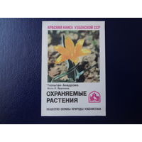 Календарик 1986 г.  Красная книга Уз.ССР.  Тюльпан Анадрома.