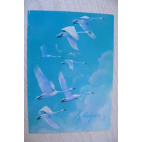 Исаков А., 8 Марта; 1985, двойная, подписана (из комплекта).