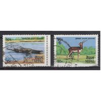 Непал -  Mich. 446  1984 г., кат.  1984  фауна,/С1 08
