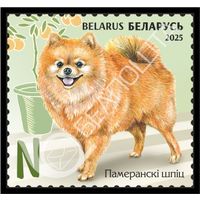 БЕЛАРУСЬ  2025  "Детская филателия. Домашние питомцы" MNH
