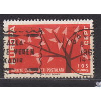 Евросепт Турция 1962 год лот 13