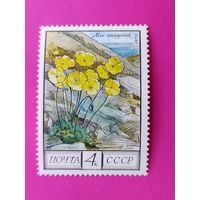 СССР. Флора СССР. ( 1 марка ) 1975 года. 5-12.