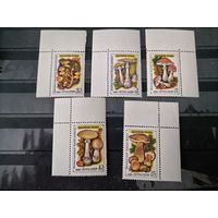 СССР.1986г.Ядовитые грибы.